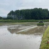 田植え　終了！！